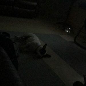 Meet your Posher, Jeff